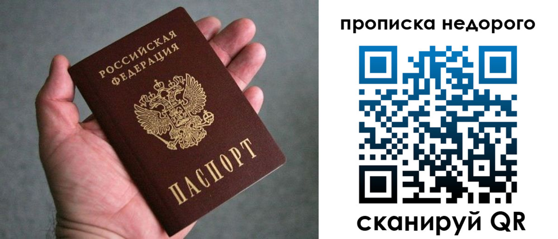 прописка поиск в Купино