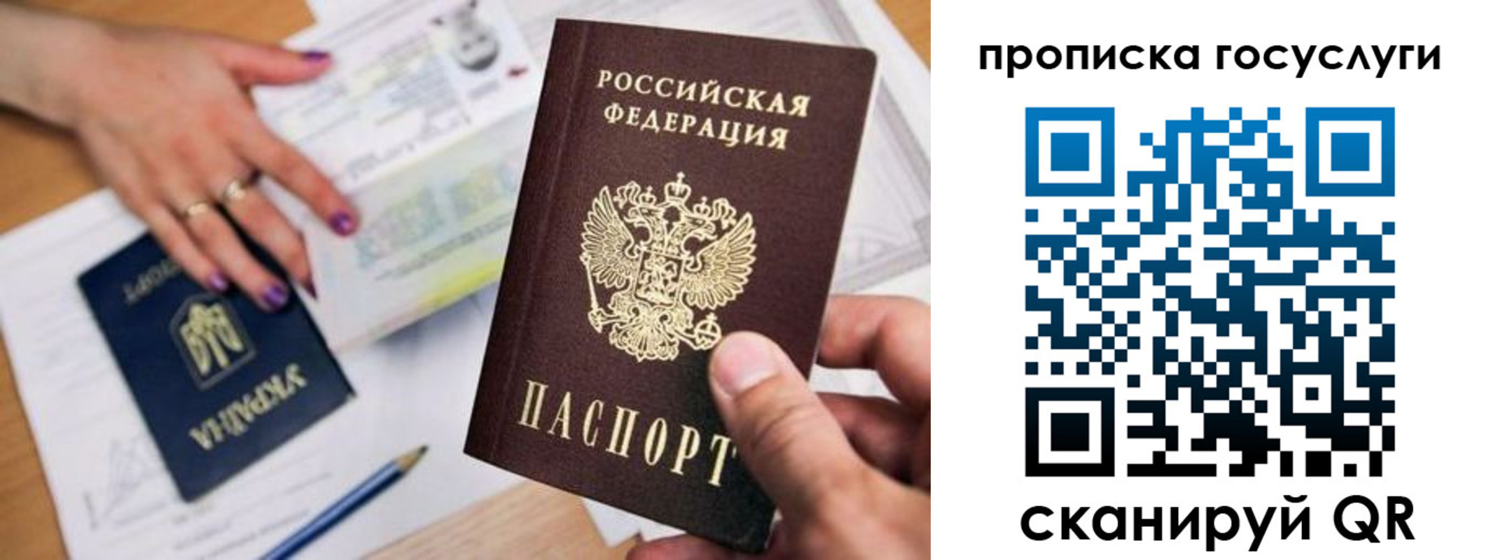 купить прописку в Купино